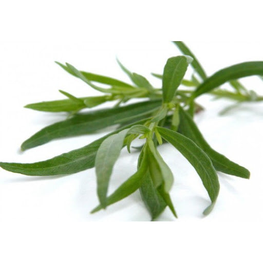 Tárkony (10 Dkg csomag)