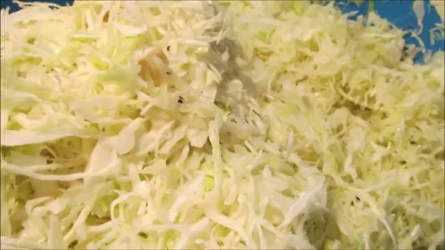 Káposzta gyalult (kg)