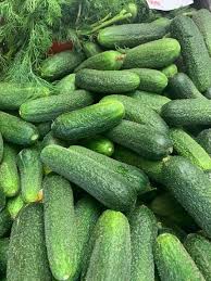 Kovászolni való uborka (kg)